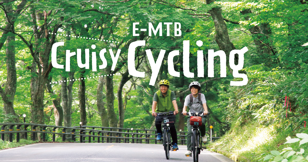 E-MTB Cryisy Cycling