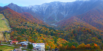 絶景 大山の紅葉 日本屈指の赤 紅葉に魅せられし秋 鳥取大山観光ガイド