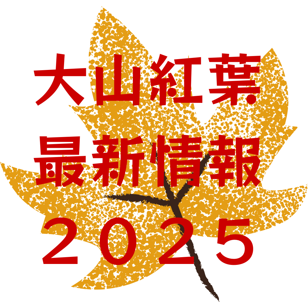 大山の紅葉情報【見頃・色付き状況】2025年版 | 鳥取大山観光ガイド