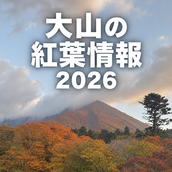 大山の紅葉情報【見頃・色付き状況】2026年版の外観