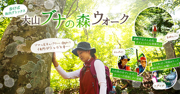 ブナの原生林が広がる神秘的な森をウォーキング ことりっぷ