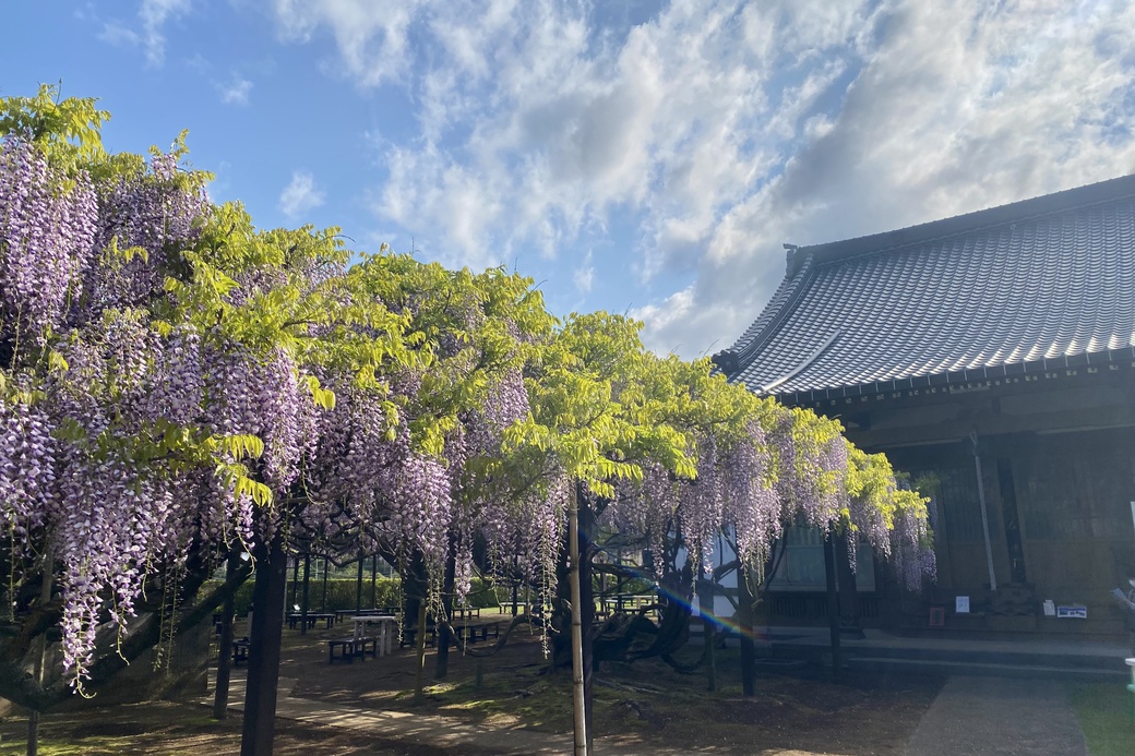 R7.4.29　寺前左.jpg