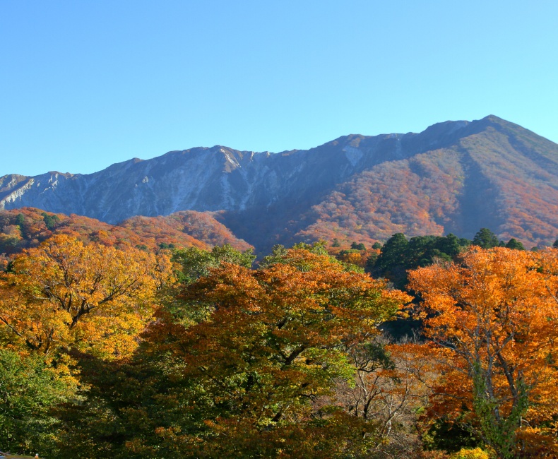 大山の観光 旅行 ツアー案内は 鳥取大山観光ガイド