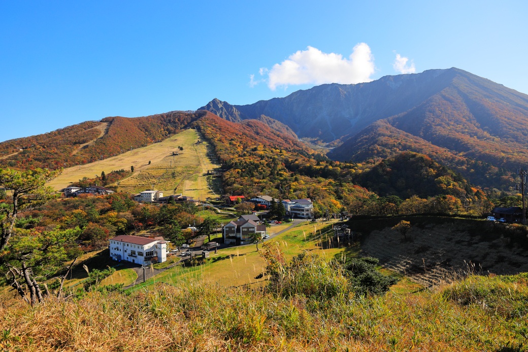 大山紅葉