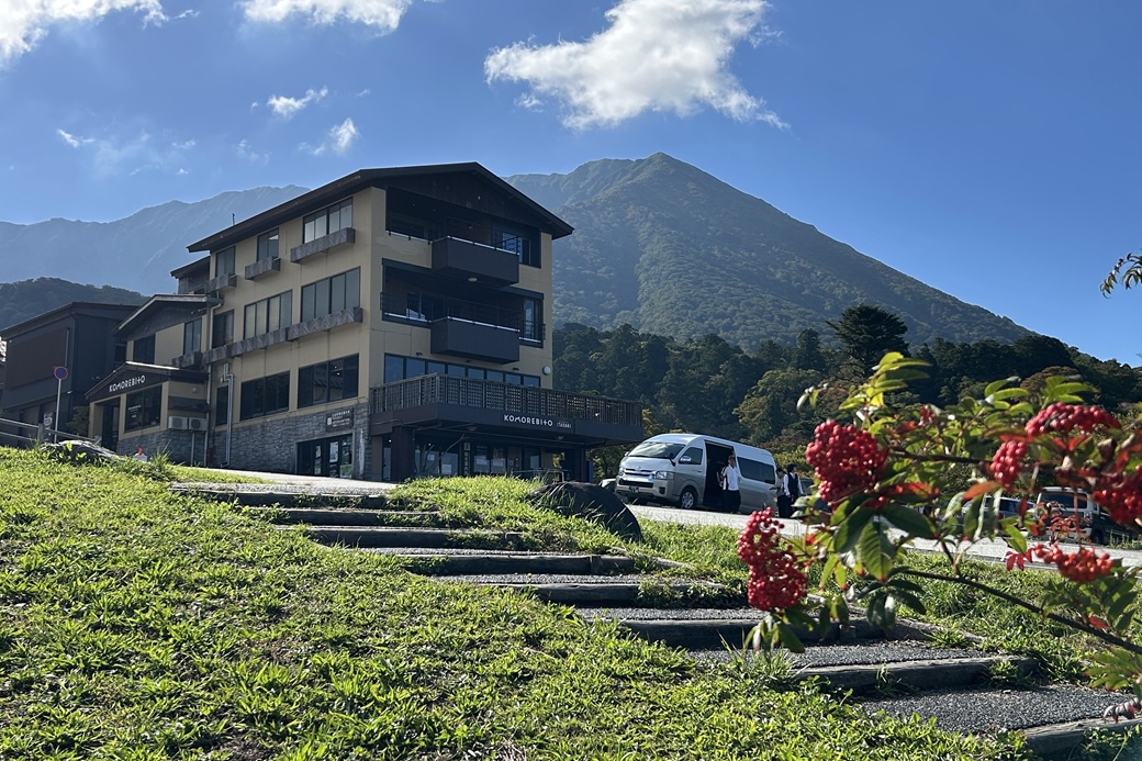 大山ナナカマド1006.JPG