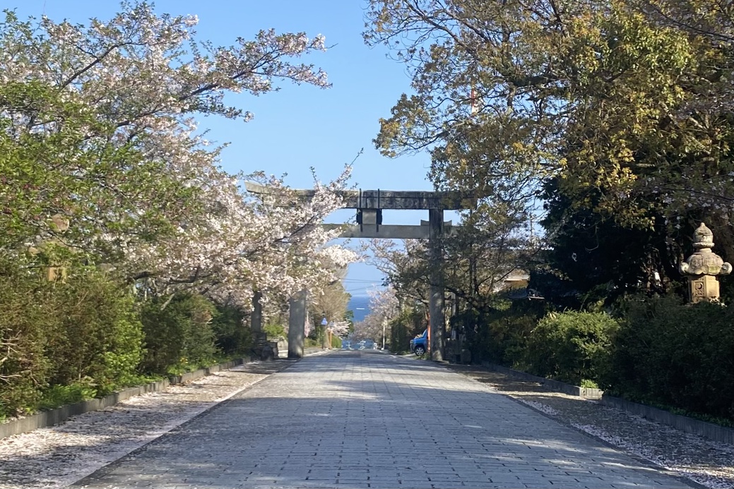 20260411名和神社①