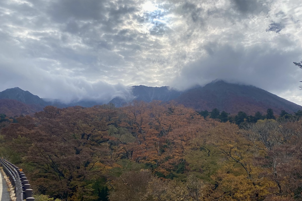1112 大山紅葉　朝