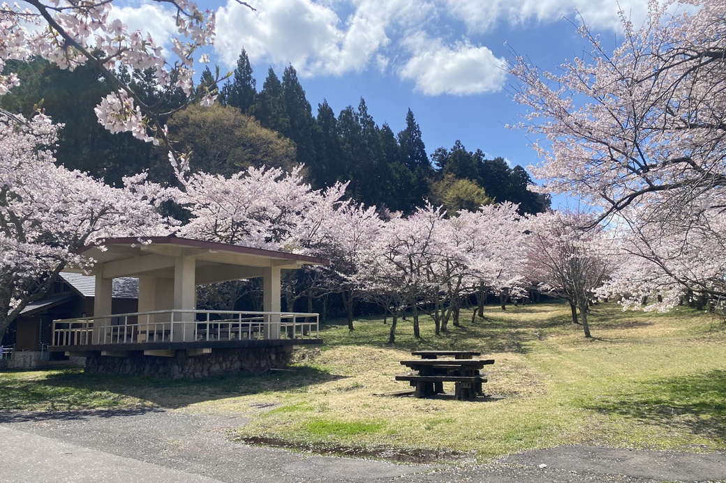 20260407赤松池①