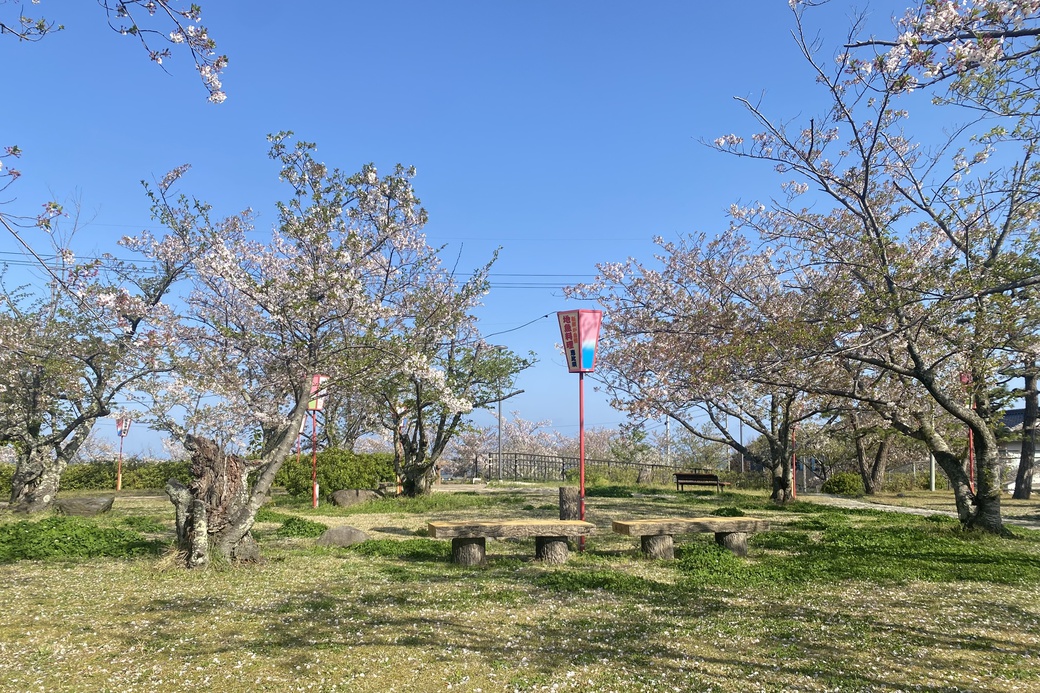 20260411名和公園