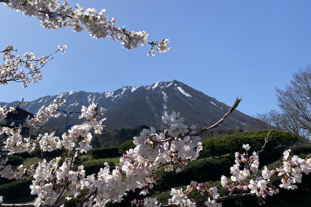 20260411大山博労座