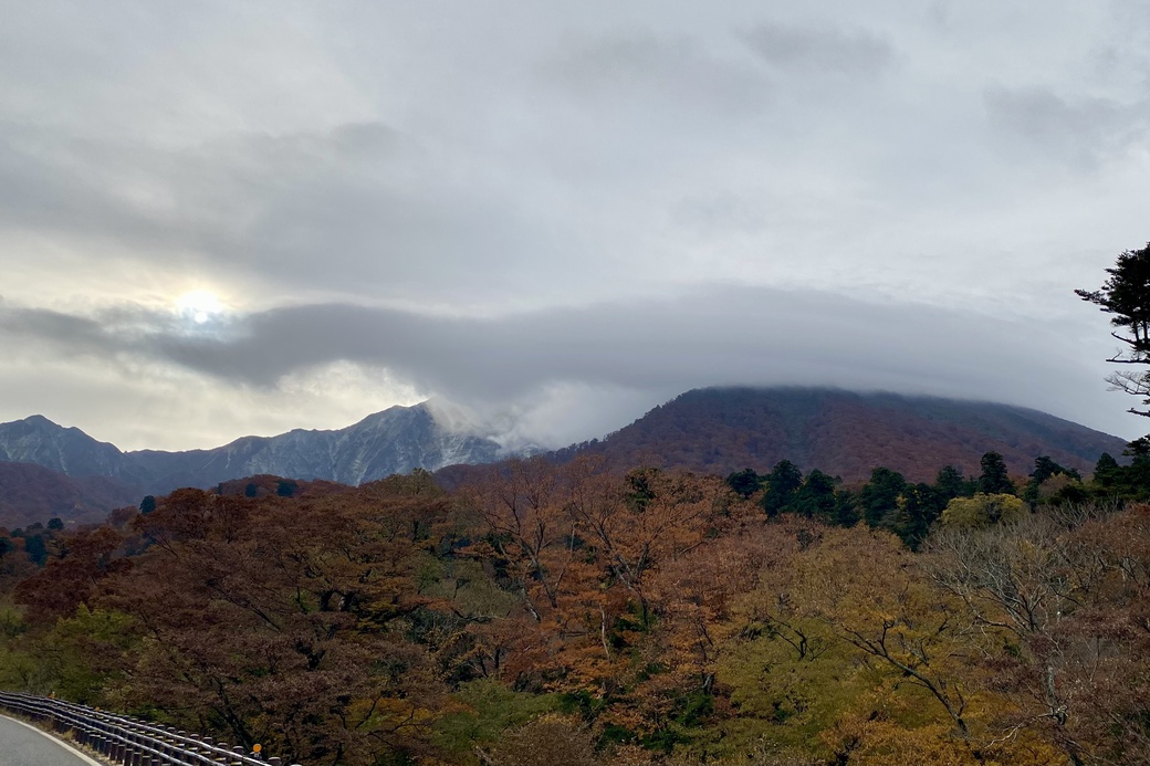 1113 大山紅葉 朝