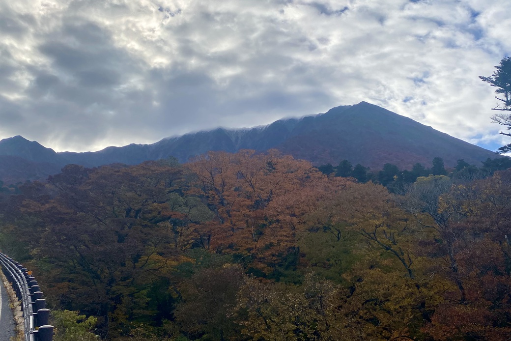 2025-11-11 大山紅葉　朝