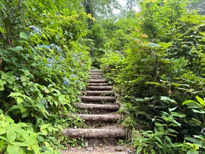 行者登山道　道の様子