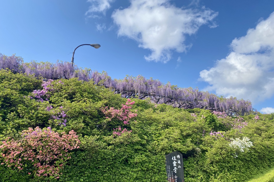 R7.4.29　外観.jpg