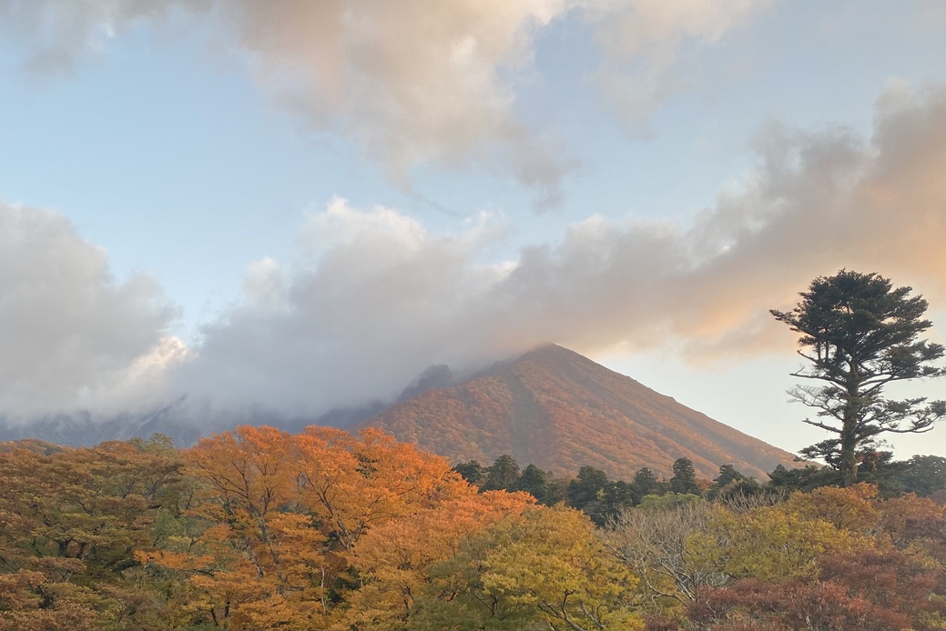 大山の紅葉情報【見頃・色付き状況】2025年版 | 鳥取大山観光ガイド