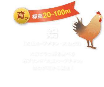 鶏（大山ハーブチキン・大山どり）